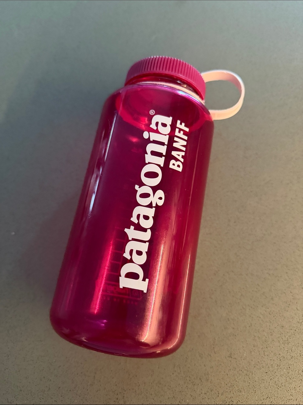 Patagonia Banff Magenta Travel Bottle